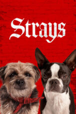 Strays (2023) - kakek21.xyz